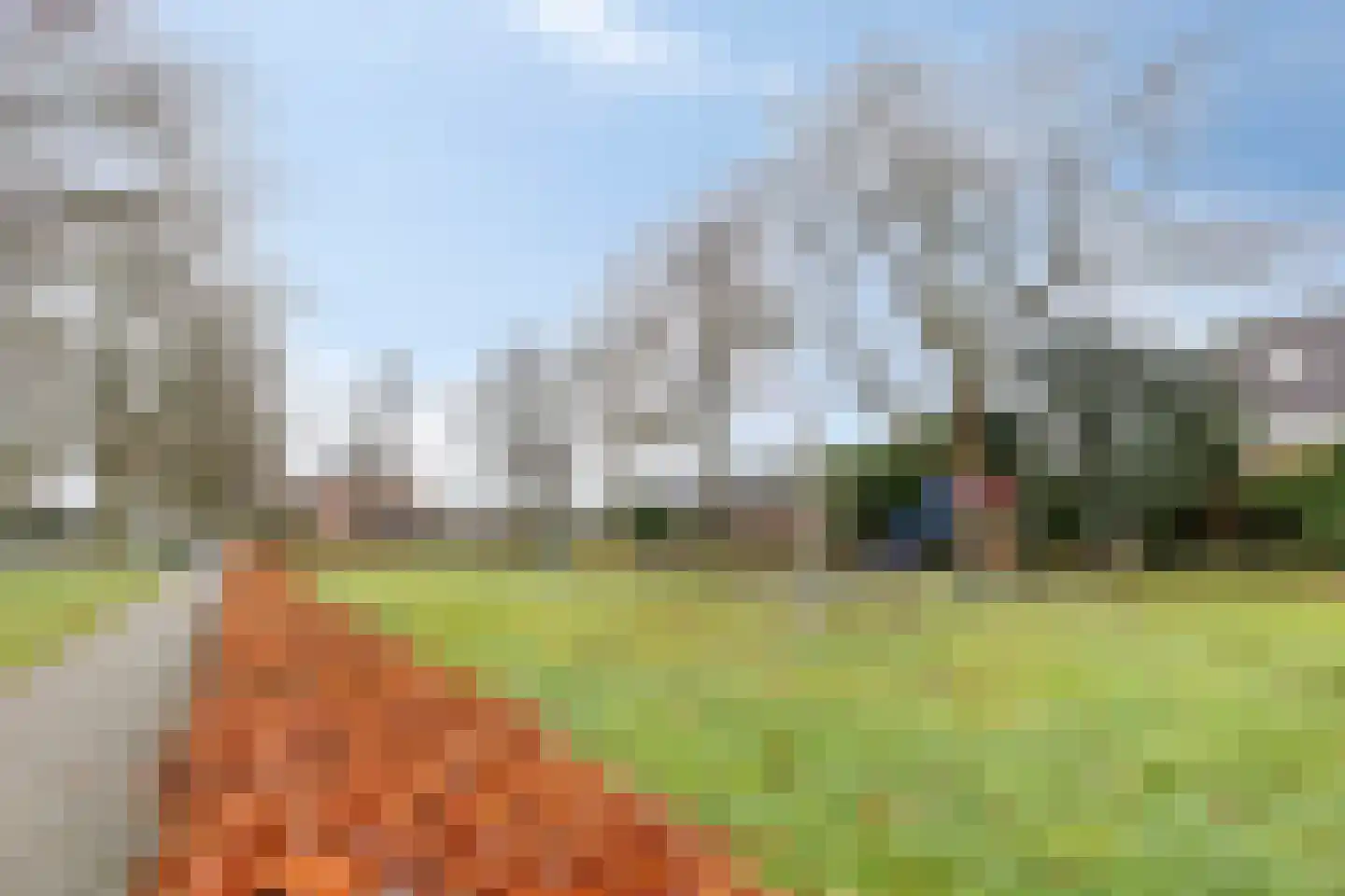Horstakker 33 Bergeijk thumbnail 29