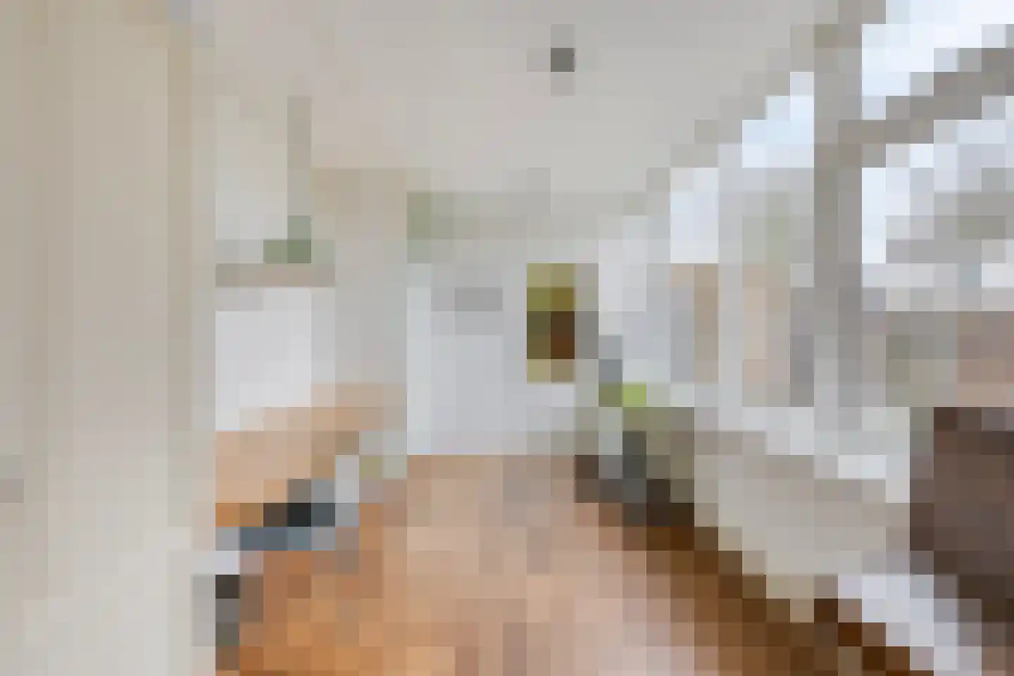 Horstakker 33 Bergeijk thumbnail 8
