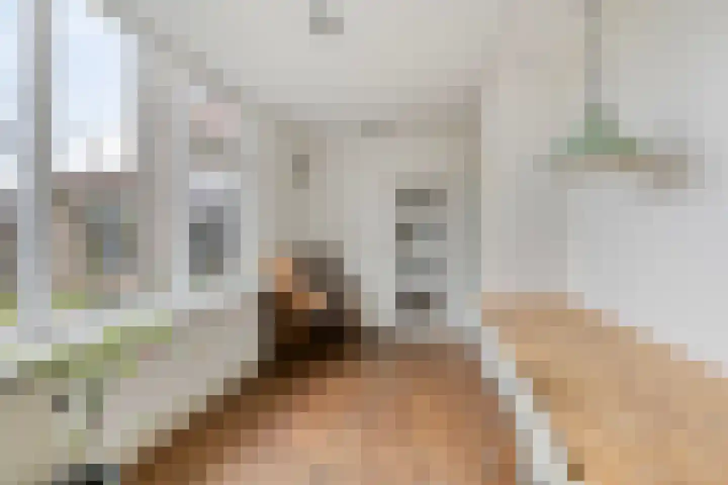 Horstakker 33 Bergeijk thumbnail 9