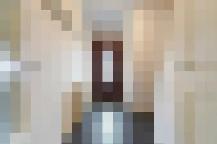 Horstakker 6 Erp thumbnail 11