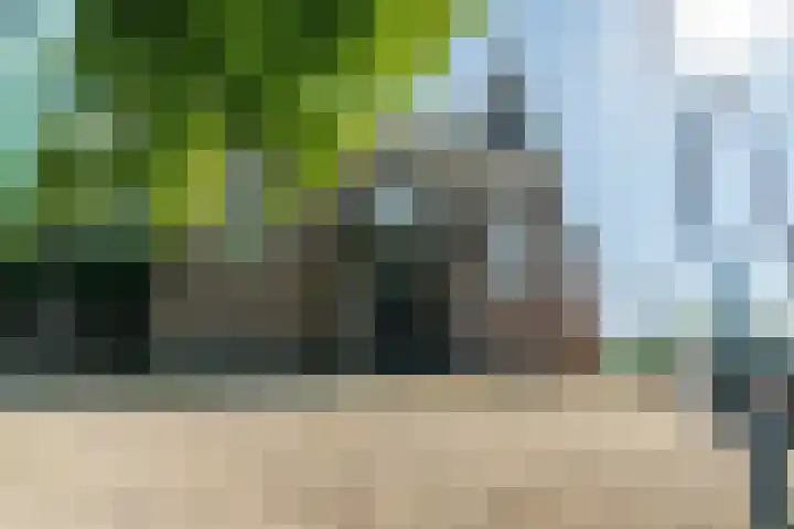 Horstakker 6 Erp thumbnail 14