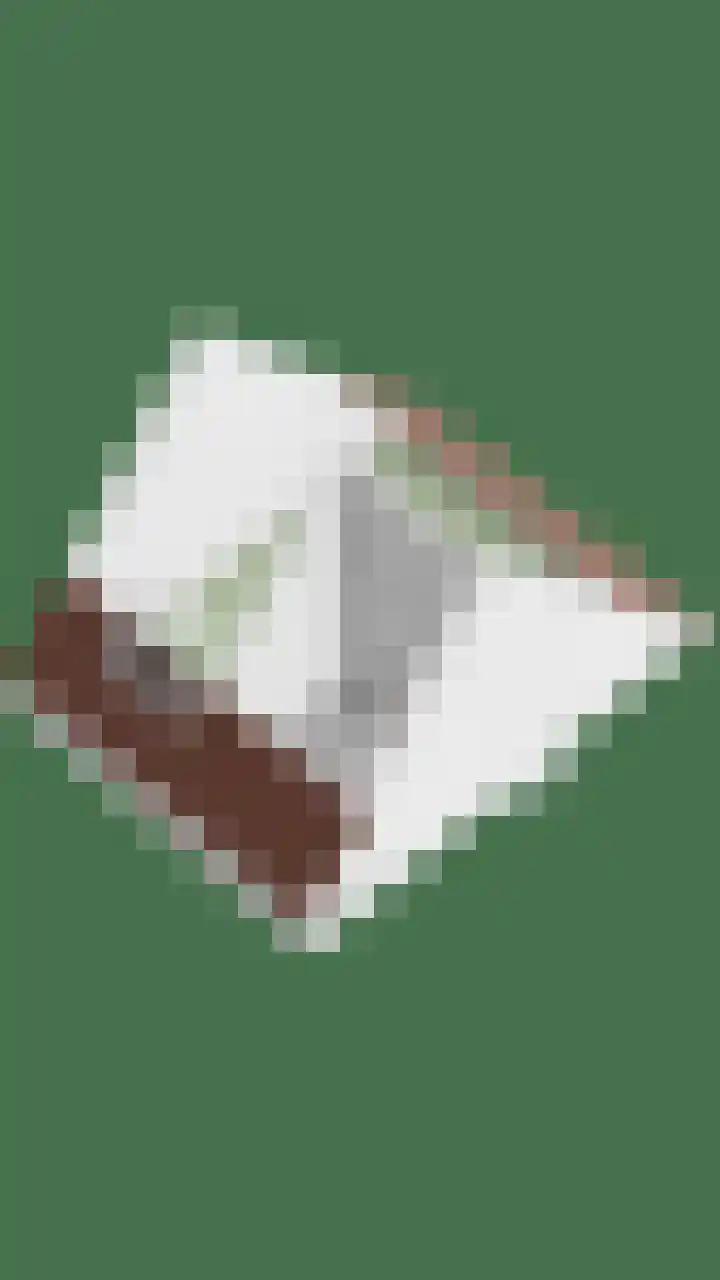 Horstakker 6 Erp thumbnail 35