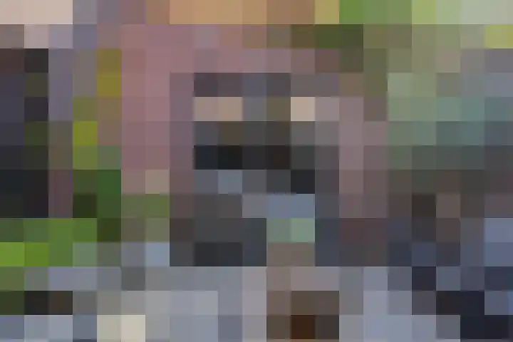 Horstakker 6 Erp thumbnail 4