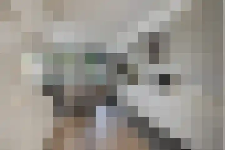 Horstakker 6 Erp thumbnail 8
