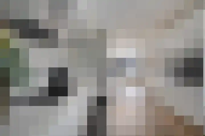 Horstakker 6 Erp thumbnail 9