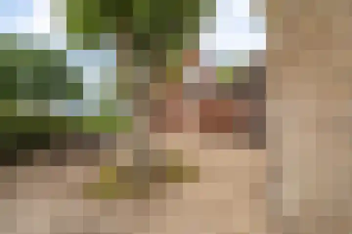Horsten 1 Musselkanaal thumbnail 10