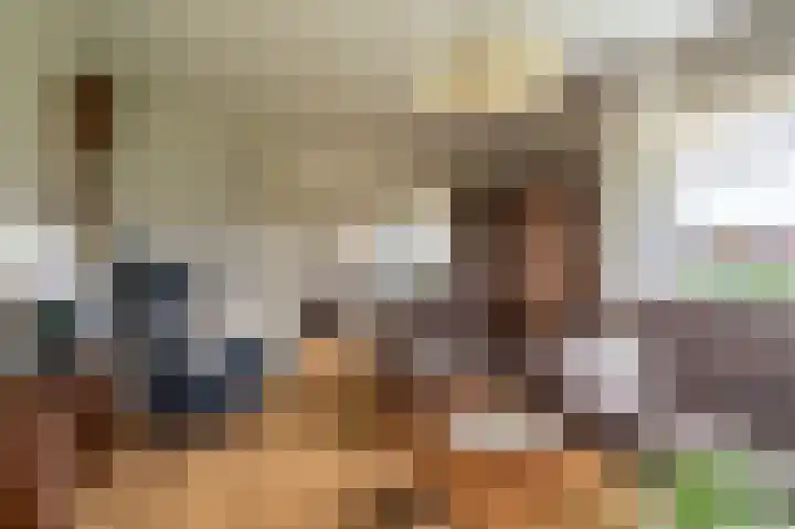 Horsten 1 Musselkanaal thumbnail 13