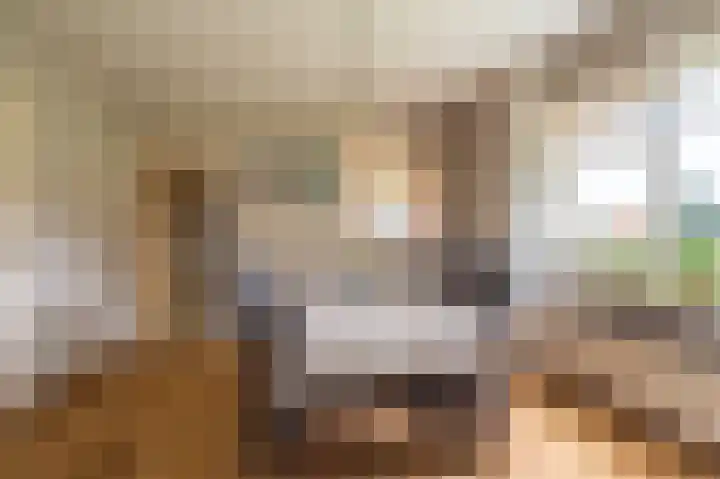 Horsten 1 Musselkanaal thumbnail 14