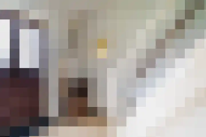 Horsten 1 Musselkanaal thumbnail 31