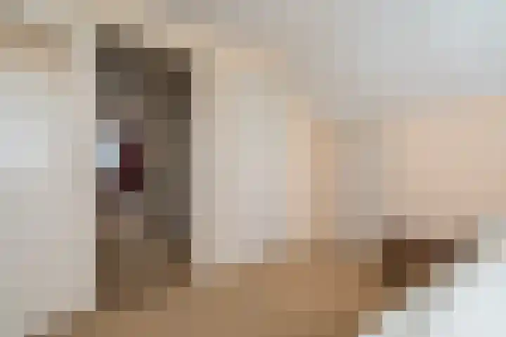 Horsten 1 Musselkanaal thumbnail 38