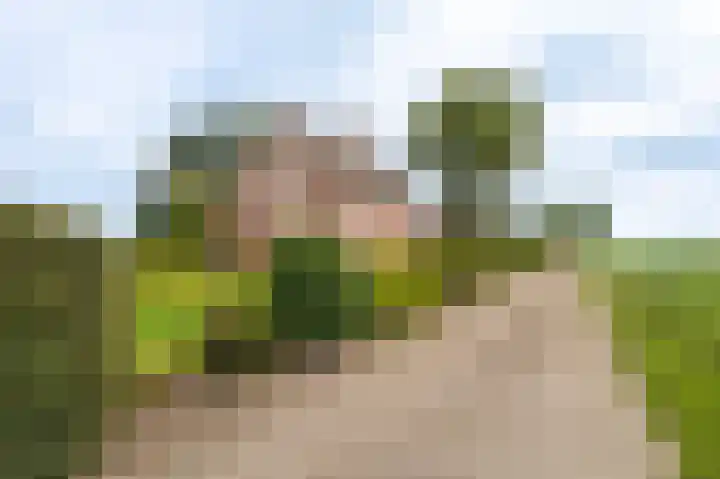 Horsten 1 Musselkanaal thumbnail 4