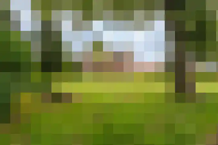 Horsten 1 Musselkanaal thumbnail 44