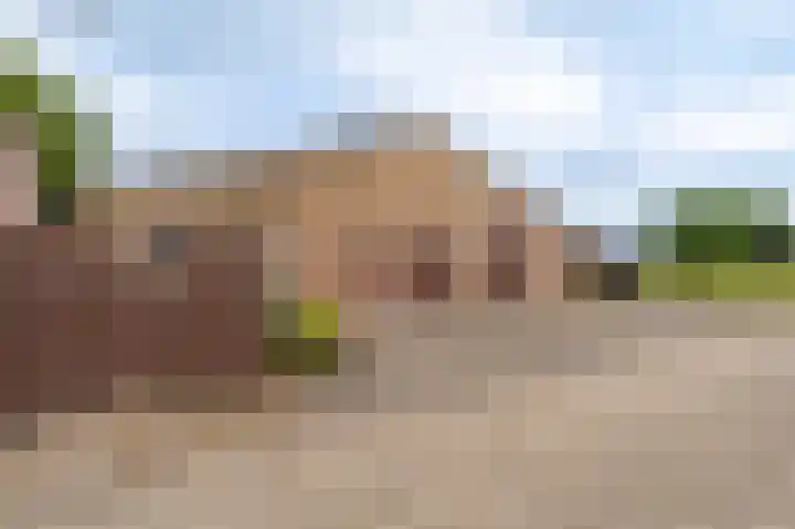 Horsten 1 Musselkanaal thumbnail 5