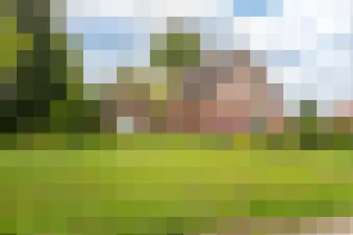 Horsten 1 Musselkanaal thumbnail 6