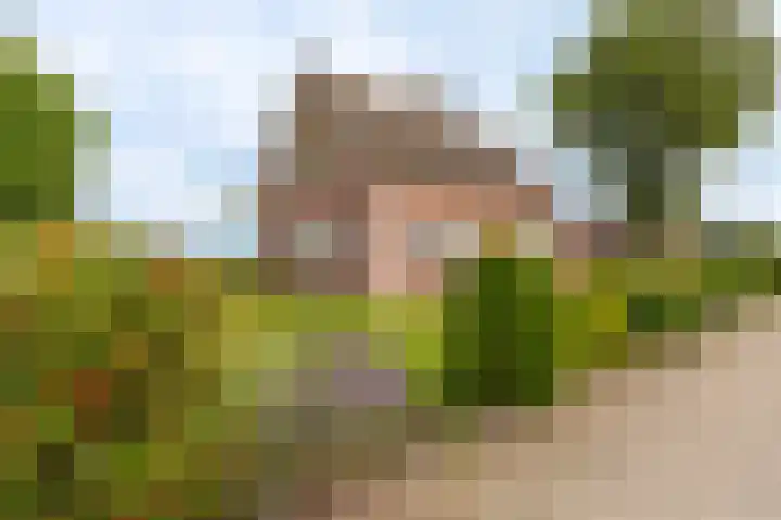 Horsten 1 Musselkanaal thumbnail 7