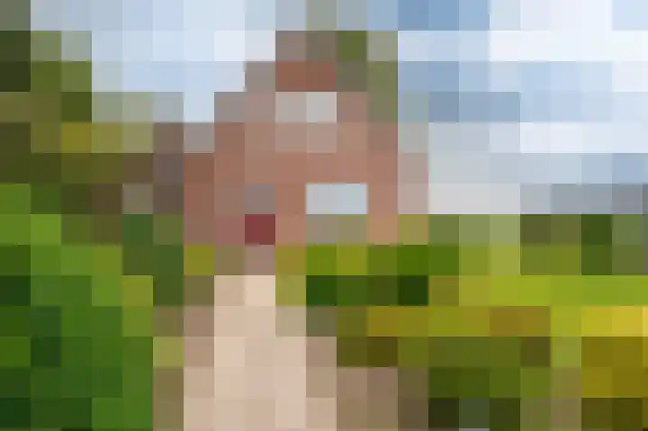 Horsten 1 Musselkanaal thumbnail 8
