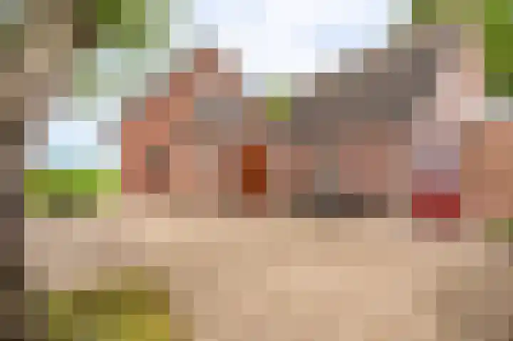 Horsten 1 Musselkanaal thumbnail 9