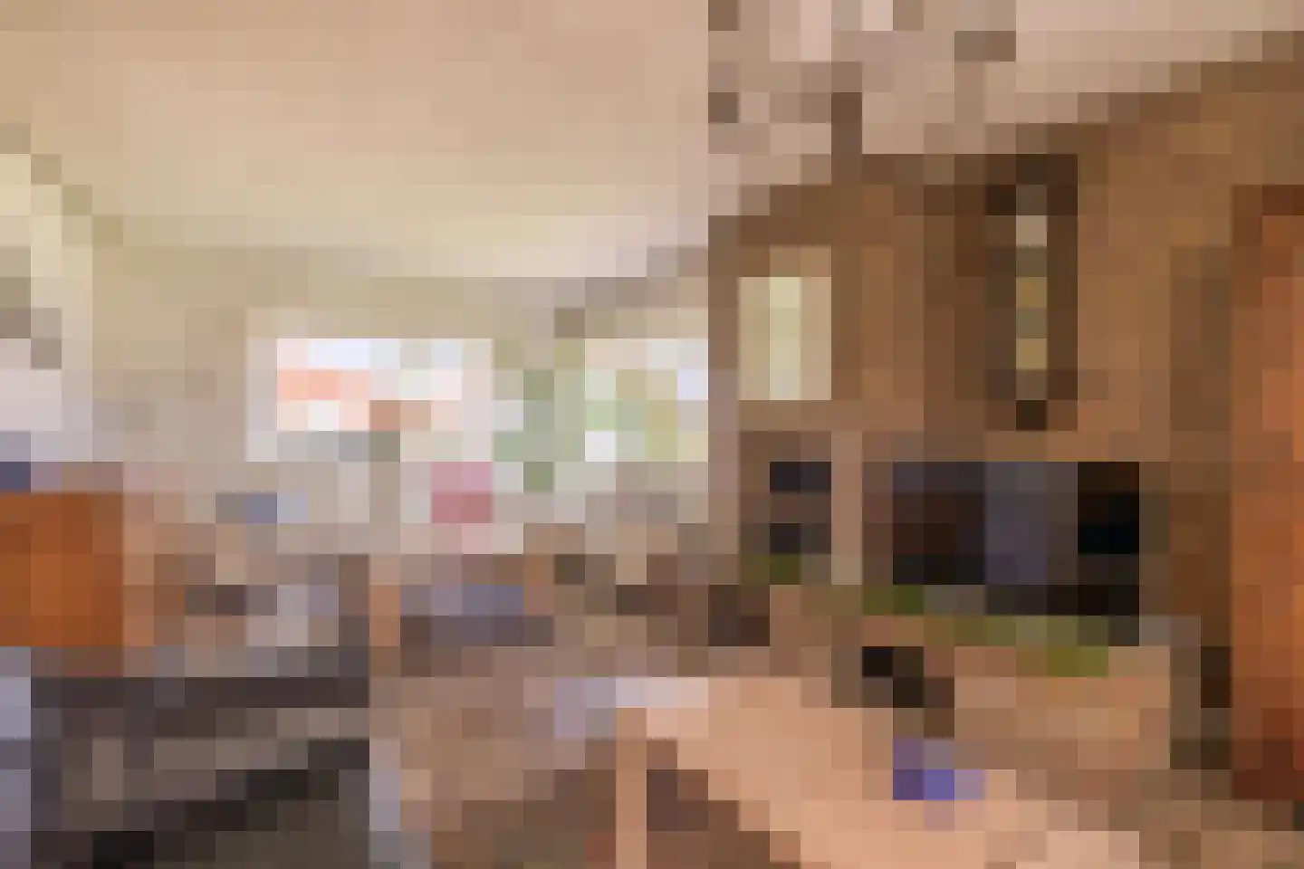 Horsten 68 Musselkanaal thumbnail 4
