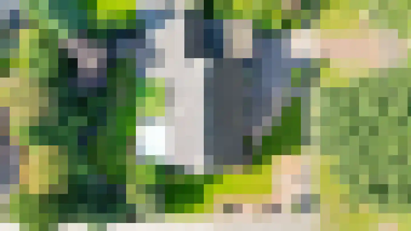 Horsten 68 Musselkanaal thumbnail 57