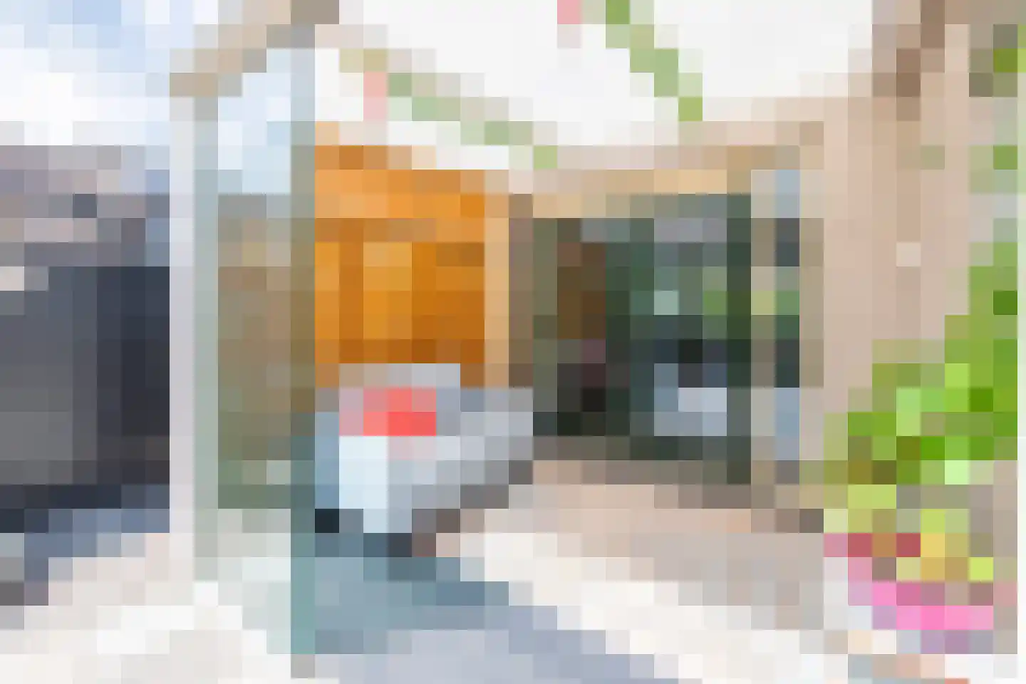 Horstenburgstraat 39 Obdam thumbnail 47