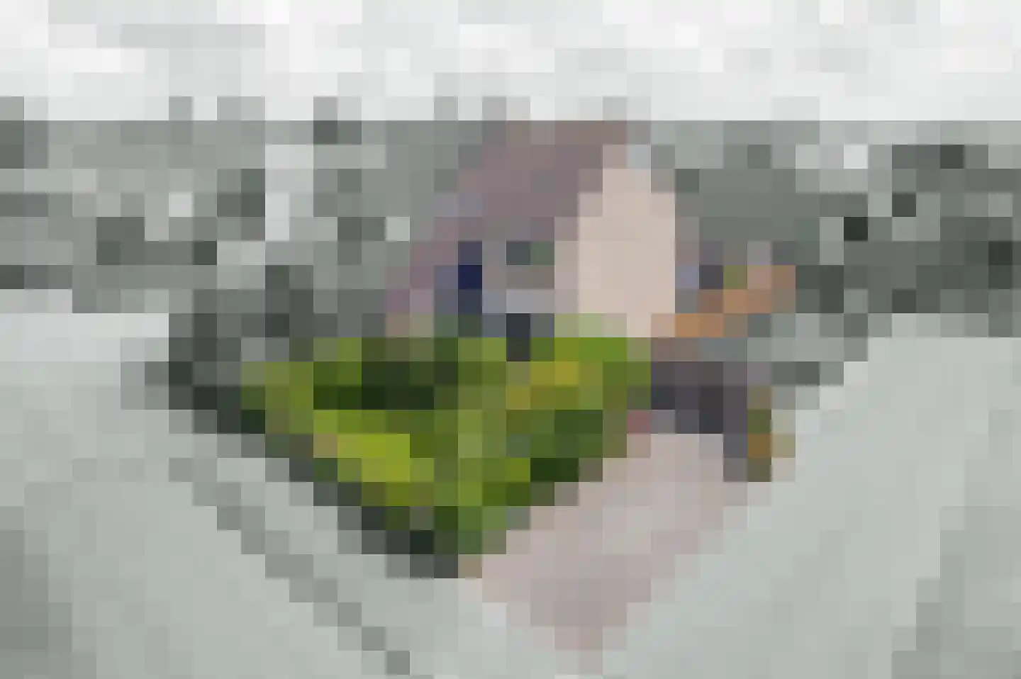Horstenburgstraat 39 Obdam thumbnail 53