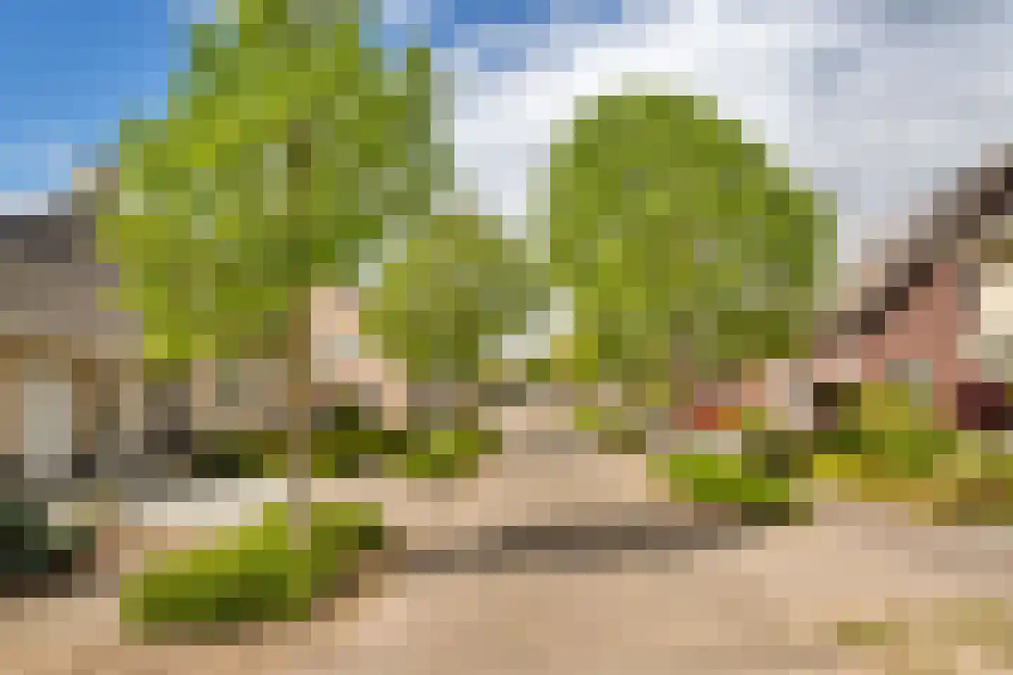 Horstenweg 19 Holthees thumbnail 47