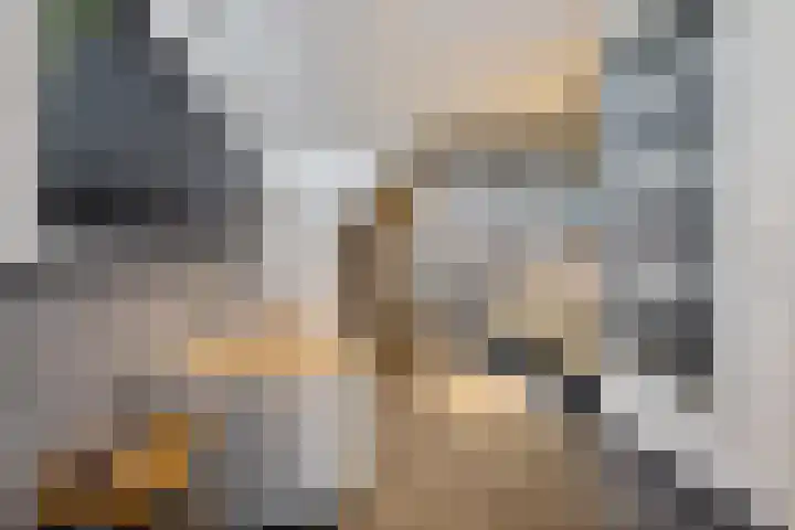Horstenweg 35 Holthees thumbnail 46