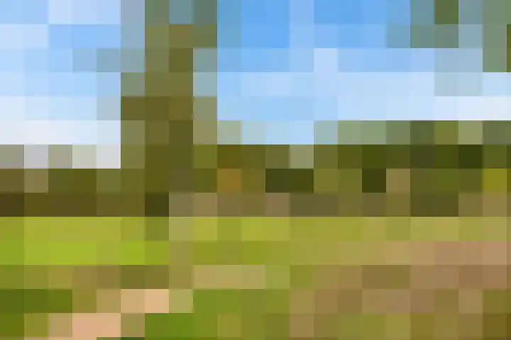 Horstenweg 35 Holthees thumbnail 69