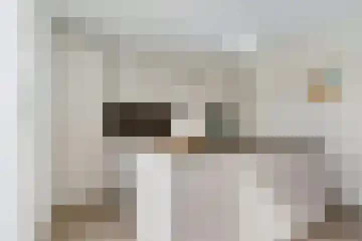 Horstenzoom 21 Emmen thumbnail 10