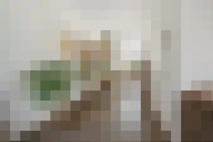 Horstenzoom 21 Emmen thumbnail 11