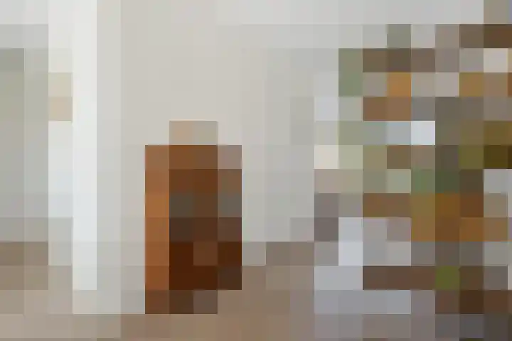 Horstenzoom 21 Emmen thumbnail 12