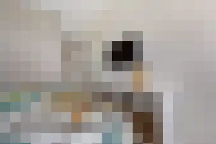 Horstenzoom 21 Emmen thumbnail 17