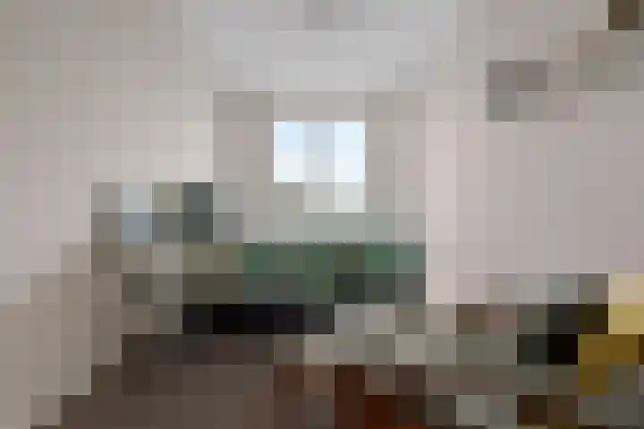 Horstenzoom 21 Emmen thumbnail 18