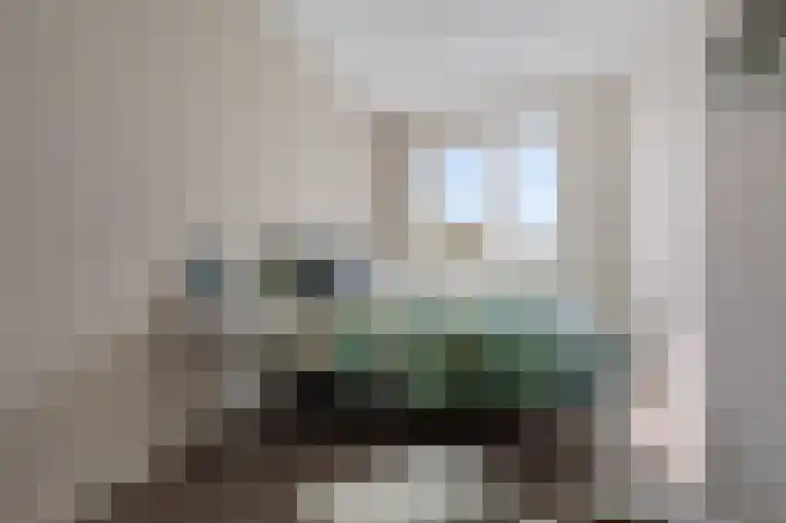 Horstenzoom 21 Emmen thumbnail 19