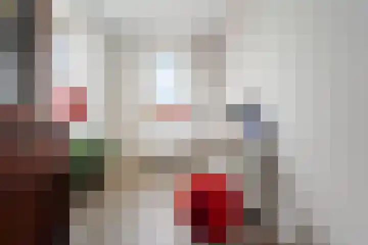 Horstenzoom 21 Emmen thumbnail 22