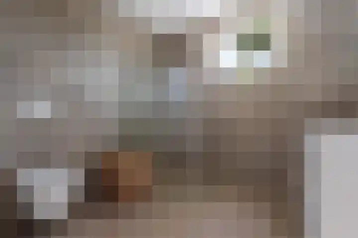 Horstenzoom 21 Emmen thumbnail 23