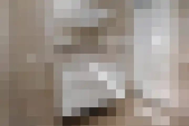 Horstenzoom 21 Emmen thumbnail 25