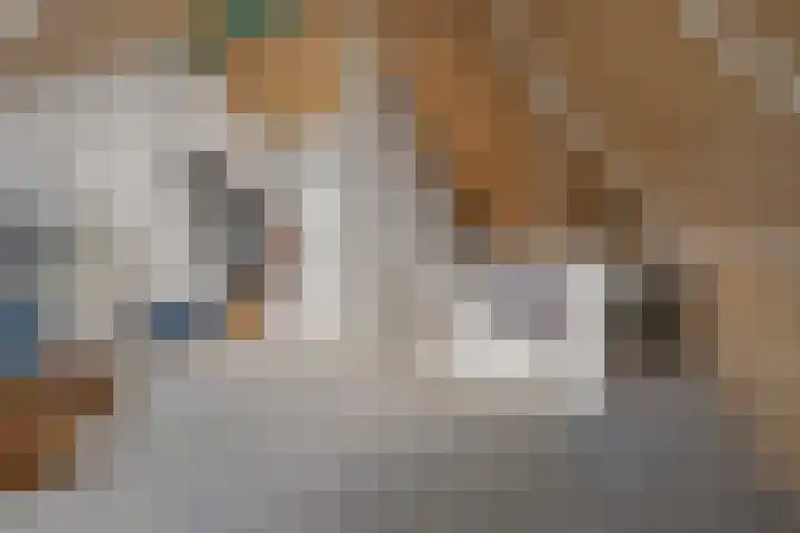 Horstenzoom 21 Emmen thumbnail 27