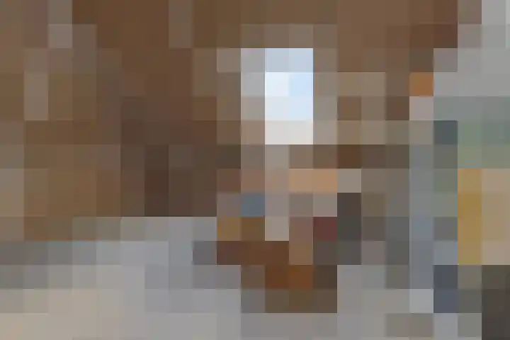 Horstenzoom 21 Emmen thumbnail 28