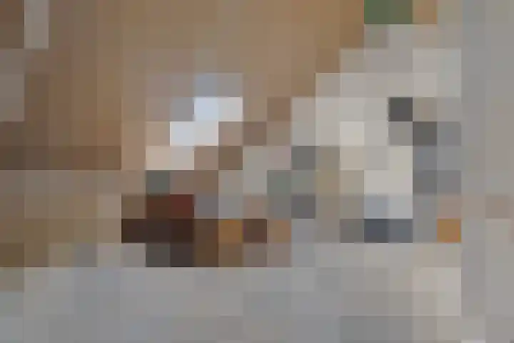Horstenzoom 21 Emmen thumbnail 29