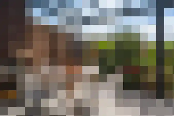 Horstenzoom 21 Emmen thumbnail 31