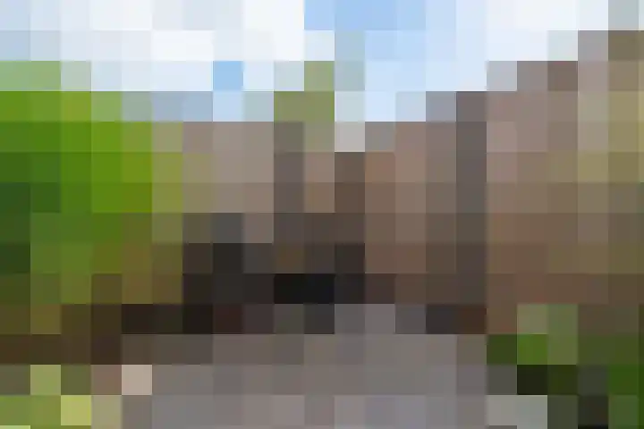 Horstenzoom 21 Emmen thumbnail 34