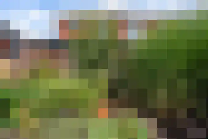 Horstenzoom 21 Emmen thumbnail 35