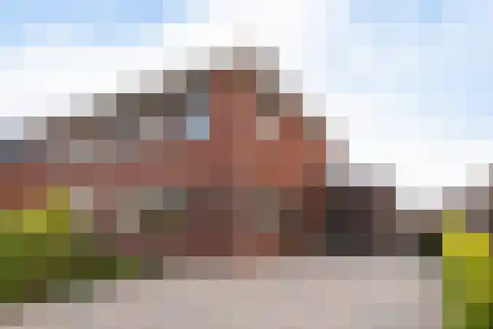 Horstenzoom 21 Emmen thumbnail 38