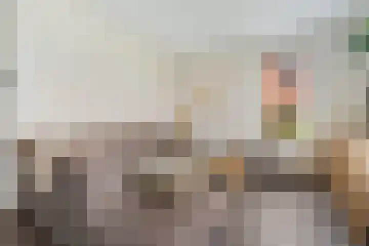 Horstenzoom 21 Emmen thumbnail 4