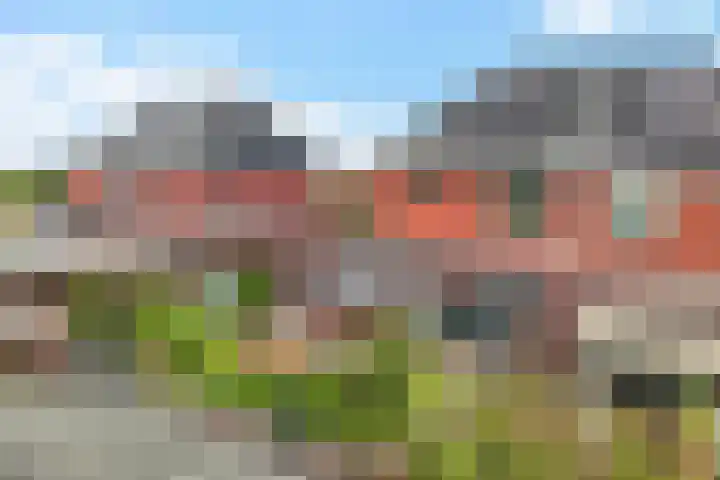Horstenzoom 21 Emmen thumbnail 41
