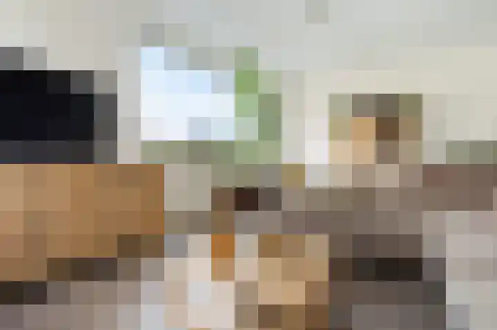 Horstenzoom 21 Emmen thumbnail 5