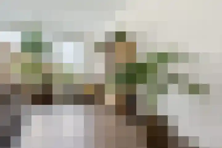 Horstenzoom 21 Emmen thumbnail 6