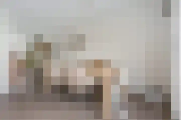 Horstenzoom 21 Emmen thumbnail 7