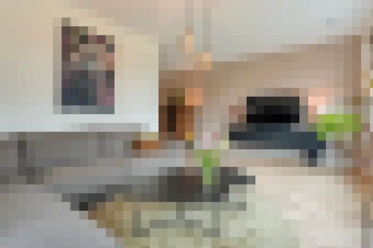 Horstenzoom 26 Emmen thumbnail 14